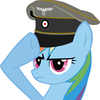 Rainbow Dash Saluting