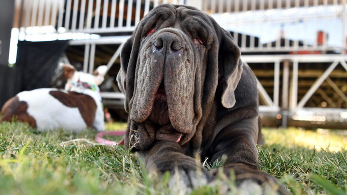 Gettyimages-800244140_wide-56b2dddbeaab2aa5f921a9c847aad42ce5bec021-s1100-c85