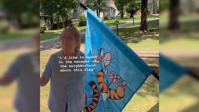 A picture of the neighborhood Karen throwing a fit over a Tigger flag.