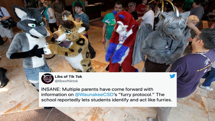 Furries at school and a tweet about waunakee city school district's furry protocol.