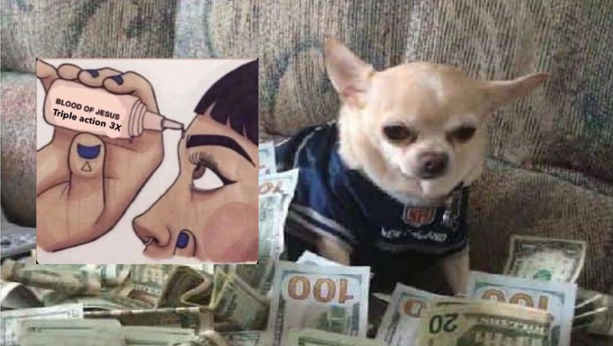 Dog Sex Stories Tumblr