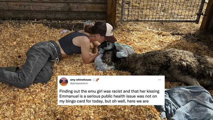 Emmanuel The Emu Is Sick And His Owner Has Been Cancelled Know Your Meme
