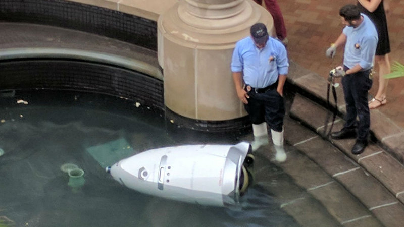 Robot Drowns Itself In Washington D.C. Pool Robot Drowns Itself In Washington D.C. Pool