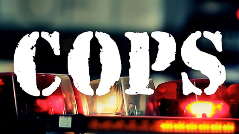 After 31 Years, Paramount Cancels 'Cops' After 31 Years, Paramount Cancels 'Cops'