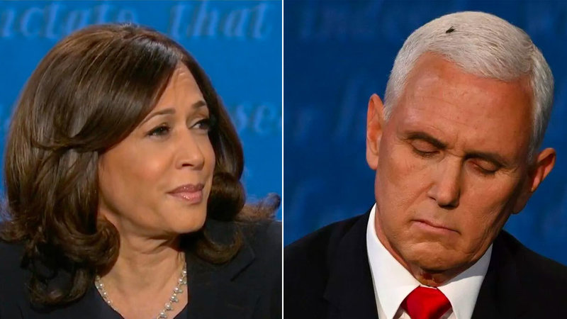 Memes Are The Fly In The Ointment For This Year's Vice Presidential Debate Memes Are The Fly In The Ointment For This Year's Vice Presidential Debate