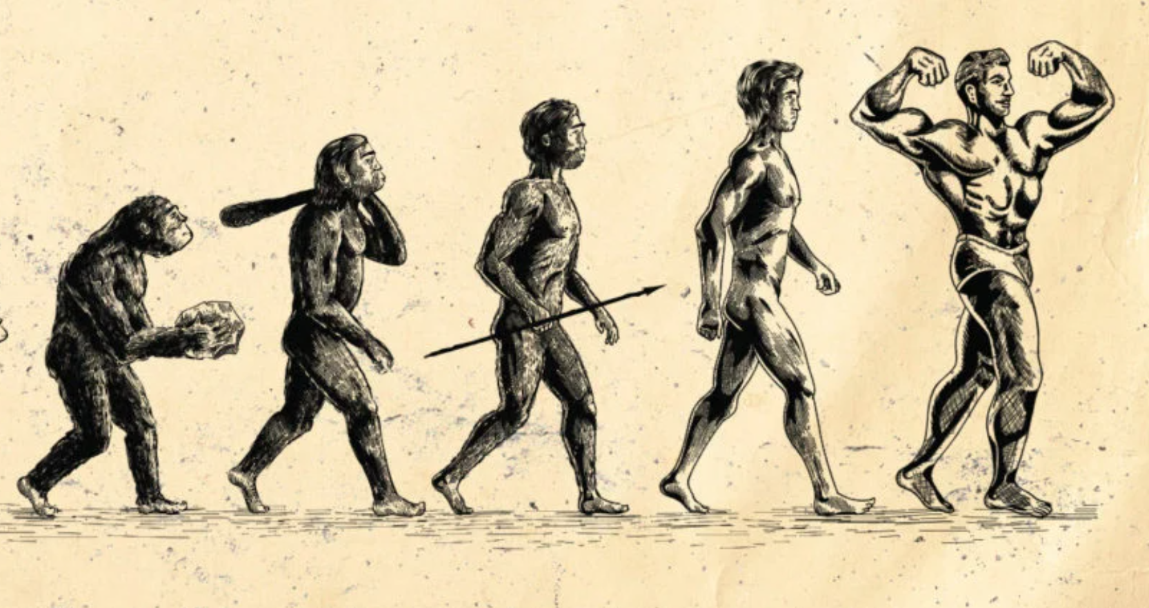 MEL Magazine Stops Publishing After Owners Dollar Shave Club Lay Off Staff