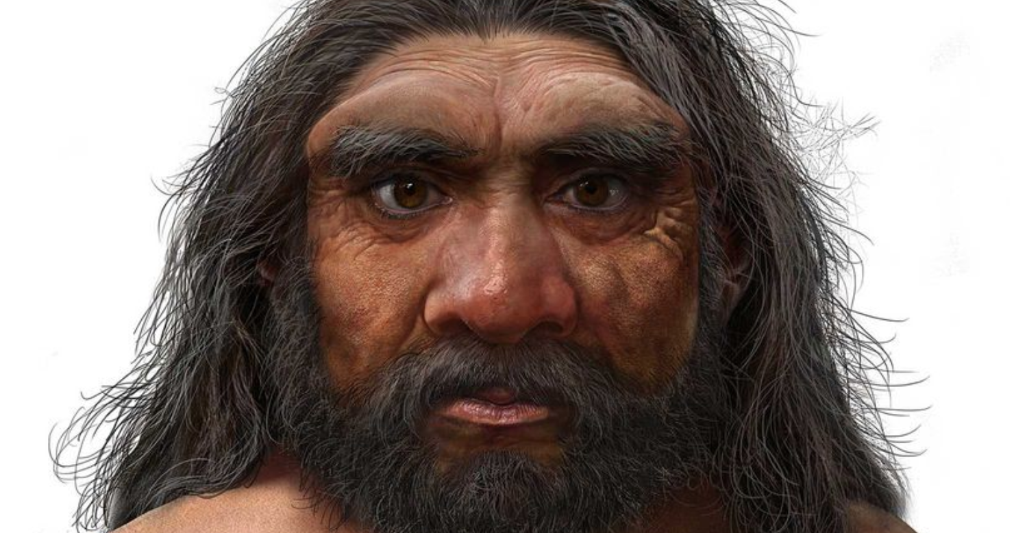 Researchers Discover Potential New Ancient Human Species, Nickname Him 'Dragon Man'