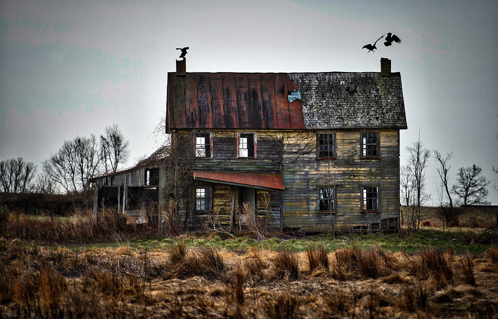 Years-long Search For Lost 'Evil Farming Game' Comes To Disappointing Conclusion: It Was All A Dream