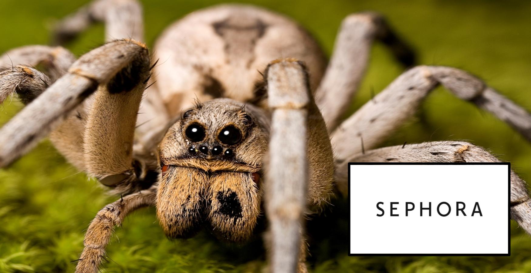 Sephora Body Butter Attracts Large Wolf Spiders, According To Online
