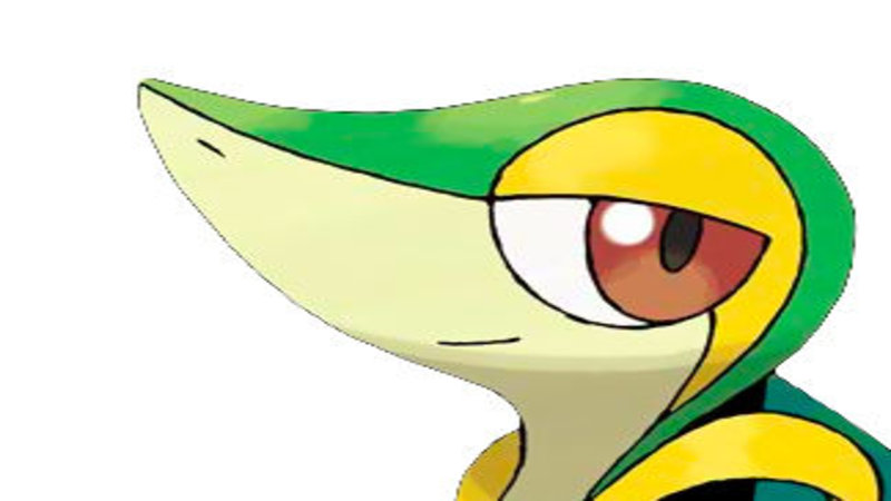 Smugleaf / Snivy