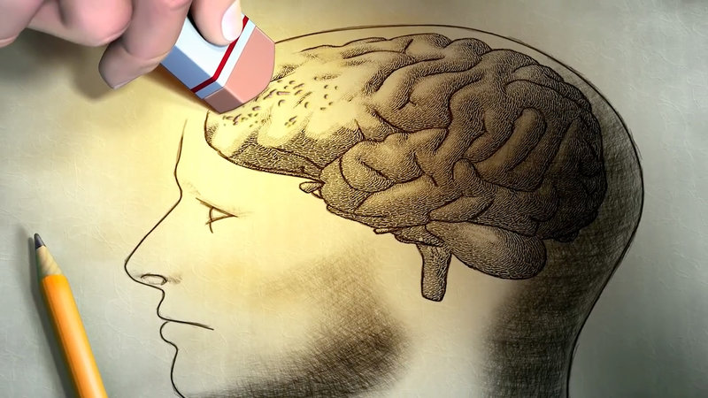 Know Your Meme 101: The Mandela Effect Know Your Meme 101: The Mandela Effect