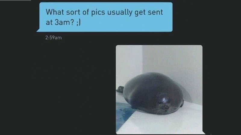 What Sort of Pics Usually Get Sent at 3am? 