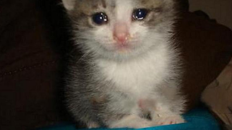 Just One Of Those Days