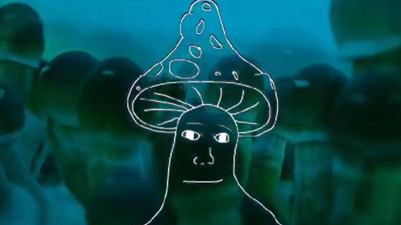 Your Brain On Shroomjak