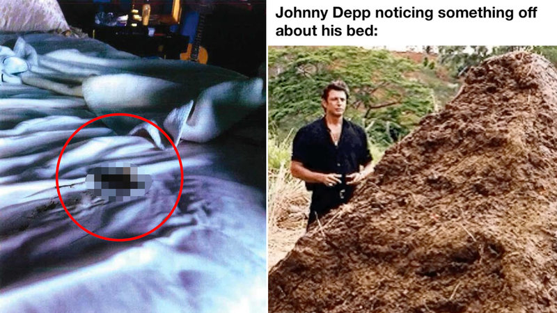 Amber Heard's Turd Was Smeared Across The Jury Stand Amid Johnny Depp's Ongoing Trial Amber Heard's Turd Was Smeared Across The Jury Stand Amid Johnny Depp's Ongoing Trial