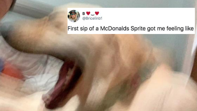 Seven Years Ago, 'McDonald's Sprite' Earned Its Place In Meme Culture