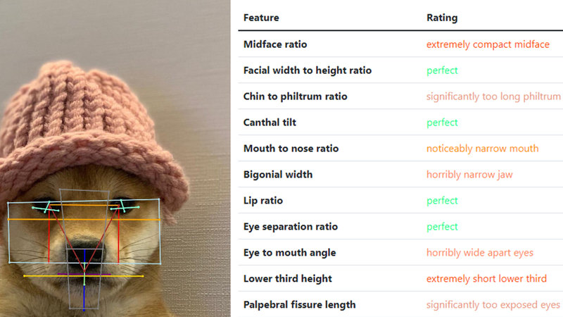 Incel Tech example image depicting joe biden's face run through incel.tech website.