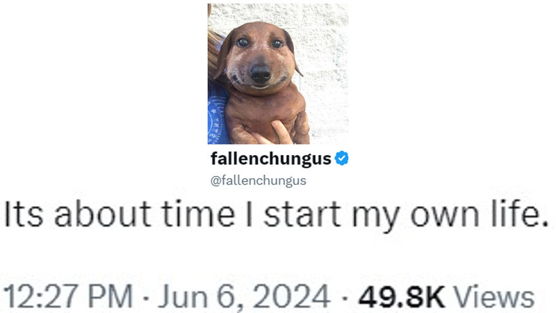 Fallenchungus comic example.
