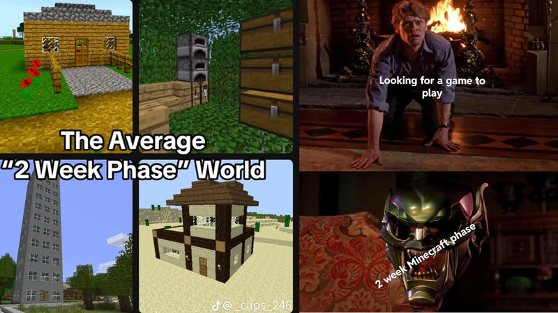The 'Two Week Minecraft Phase' Is Becoming A Widely Studied Phenomenon On Social Media two week minecraft phase meme examples