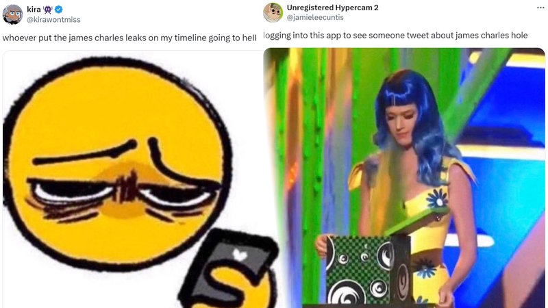 A cropped screenshot of the alleged James Charles Leaked Video.