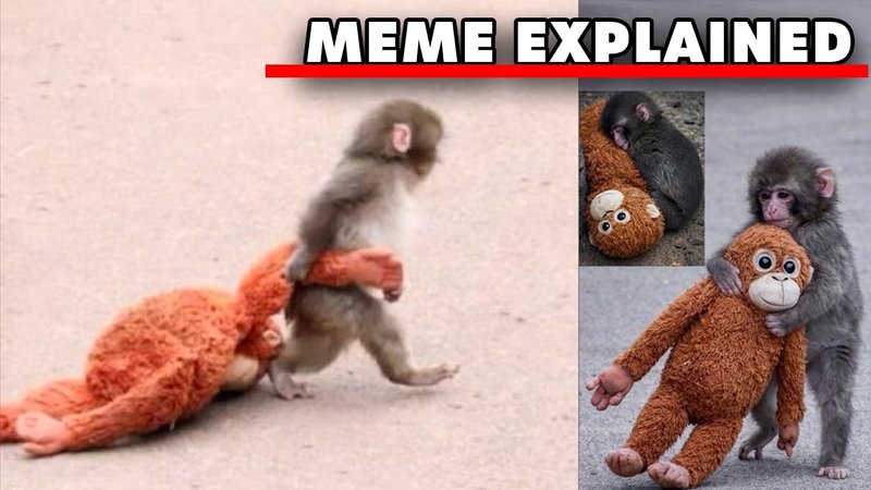 Punch the Sad Monkey youtube video.