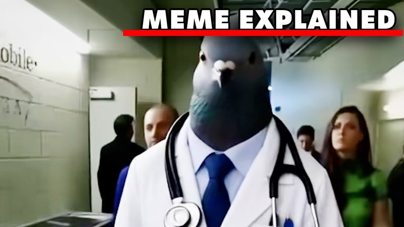 Pigeon Doctor meme youtube video.