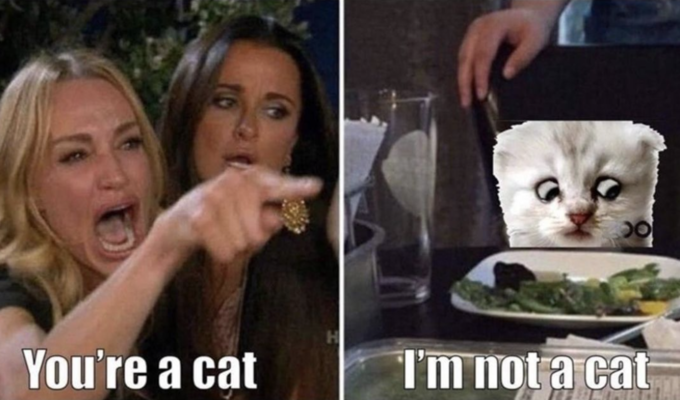 Screaming Won't Help The Problem Screaming Won't Help The Problem