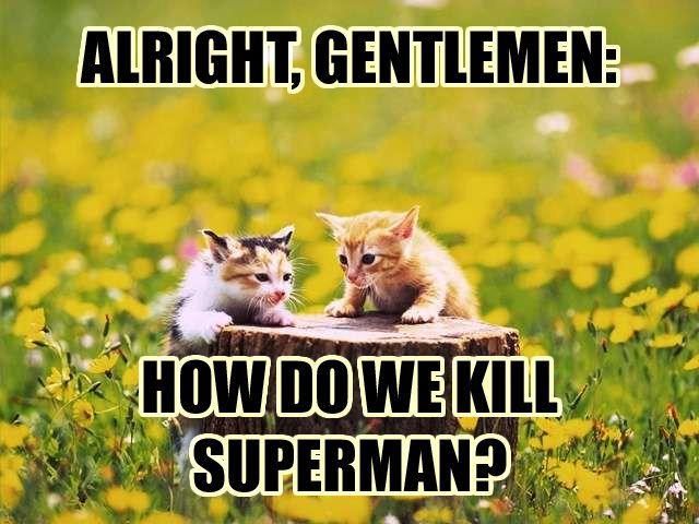 [Image - 2721] | LOLcats | Know Your Meme