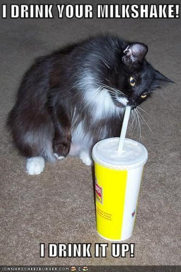 [Image 10631] I Drink Your Milkshake! Know Your Meme