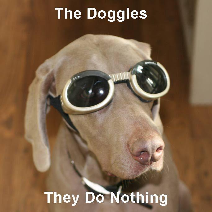 [Image 15382] The Goggles Do Nothing! Know Your Meme