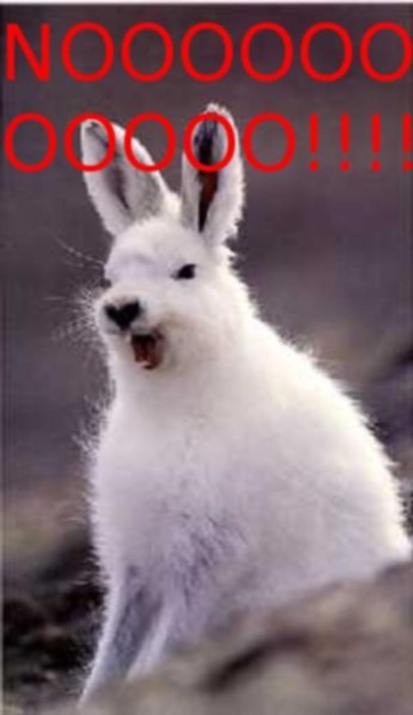 [Image 16603] Darth Vader's "Noooo!" Know Your Meme