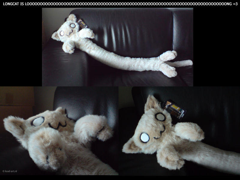 longcat plush