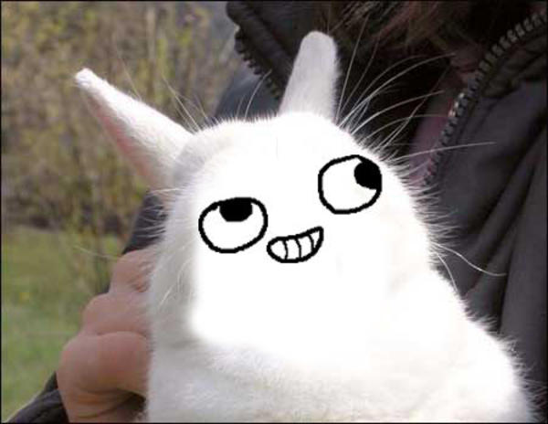 [Image - 18708] | Bunnyfaic | Know Your Meme