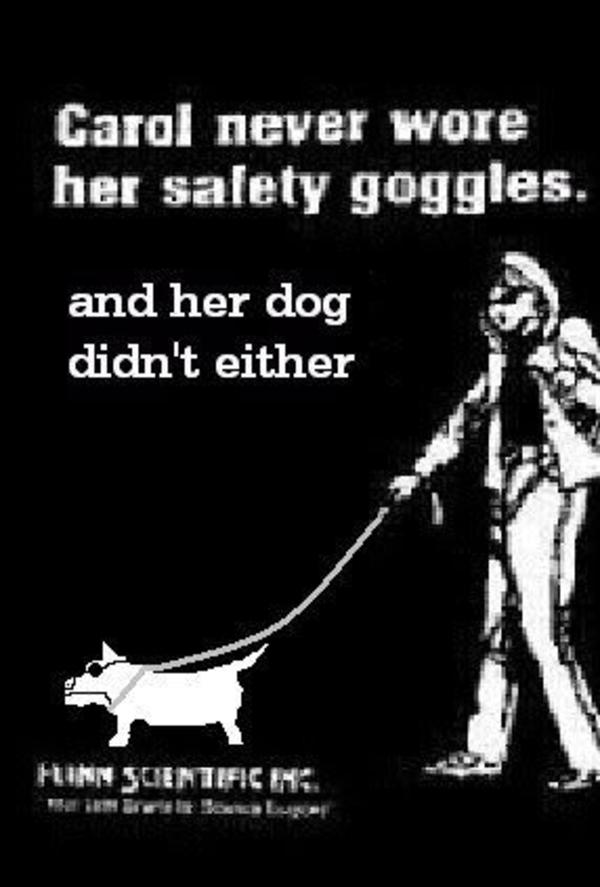 [Image 20877] Carol’s Safety Goggles Know Your Meme