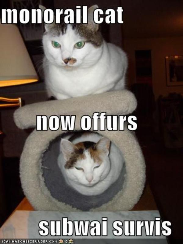 funny-pictures-monorail-cat-subway-servi