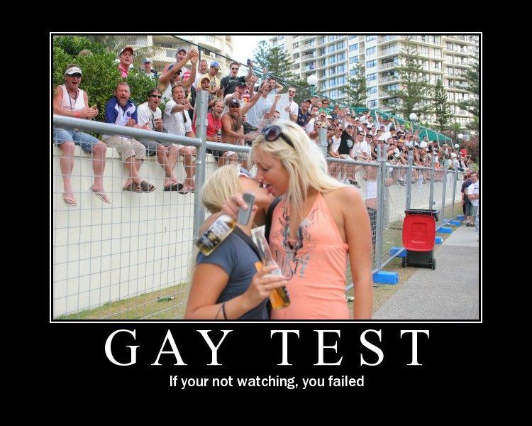 test are in your gay meme