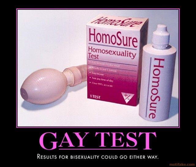 See more 'Gay Test' images on Know Your Meme! homosexuality, homo...