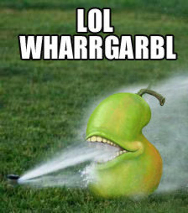 [Image 32393] WHARRGARBL / Sprinkler Dog Know Your Meme