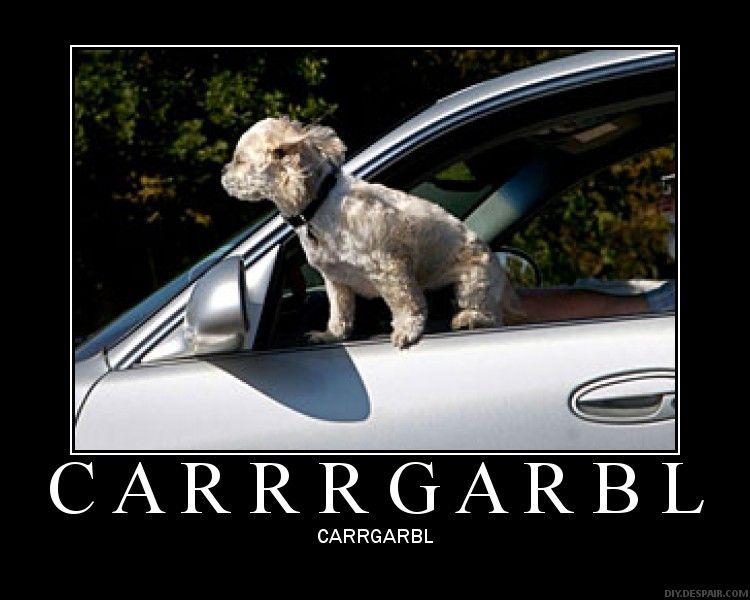 [Image 32399] WHARRGARBL / Sprinkler Dog Know Your Meme