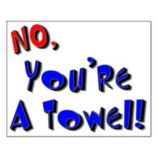 [Image 38457] You're a Towel Know Your Meme