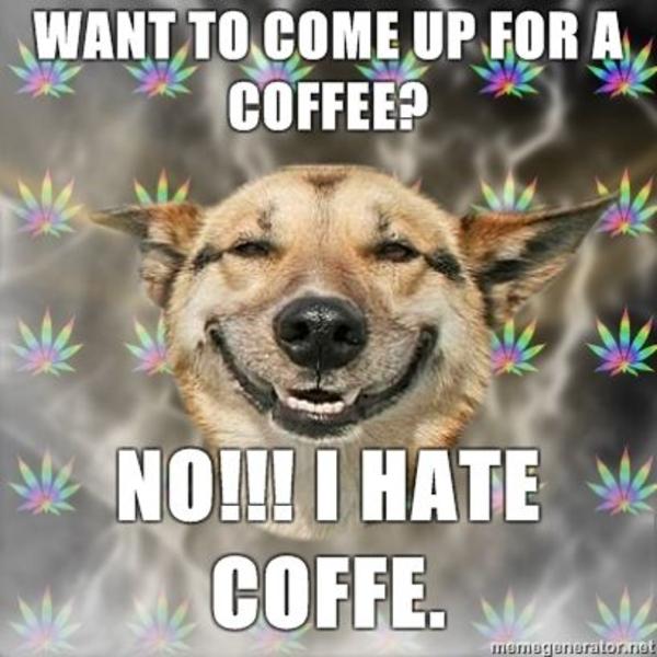 [Image - 49194] | Stoner Dog | Know Your Meme