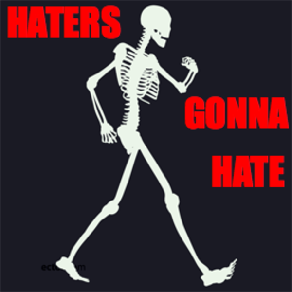 [Image 55861] Haters Gonna Hate Know Your Meme