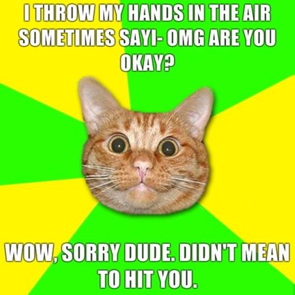 [Image 76983] I Throw My Hands Up In The Air Sometimes Saying Ayo Know Your Meme