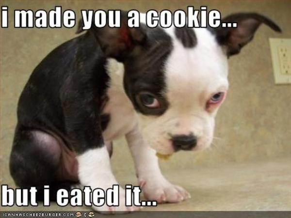 [Image - 87064] | I Made You a Cookie, But I Eated It | Know Your Meme