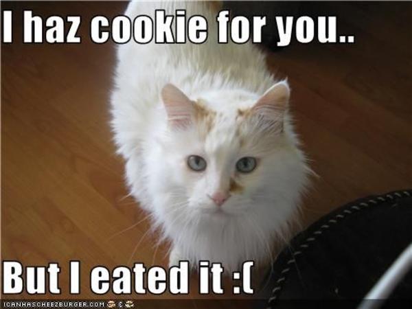 [Image - 87144] | I Made You a Cookie, But I Eated It | Know Your Meme