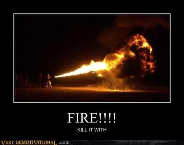 [Image - 91859] | Kill It With Fire | Know Your Meme