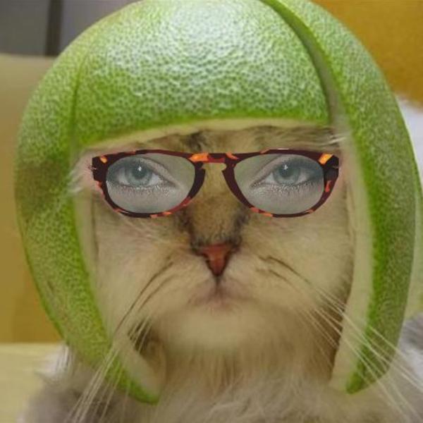 [Image 98520] Limecat Know Your Meme