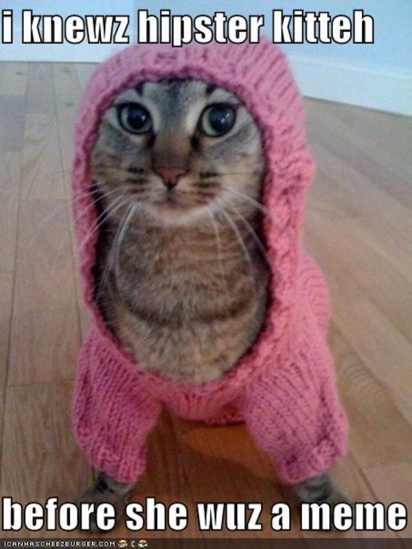 [Image 101474] Hipster Kitty Know Your Meme