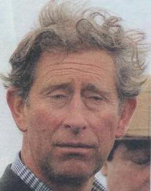 [Image 133943] Frank Garrett Know Your Meme