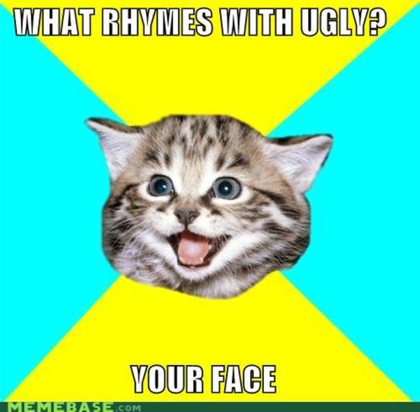  Image 143826 Happy Kitten Know Your Meme